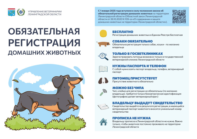 Обязательная регистрация домашних животных. Обязательная регистрация домашних животных.